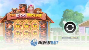 Nisanbet The Dog House